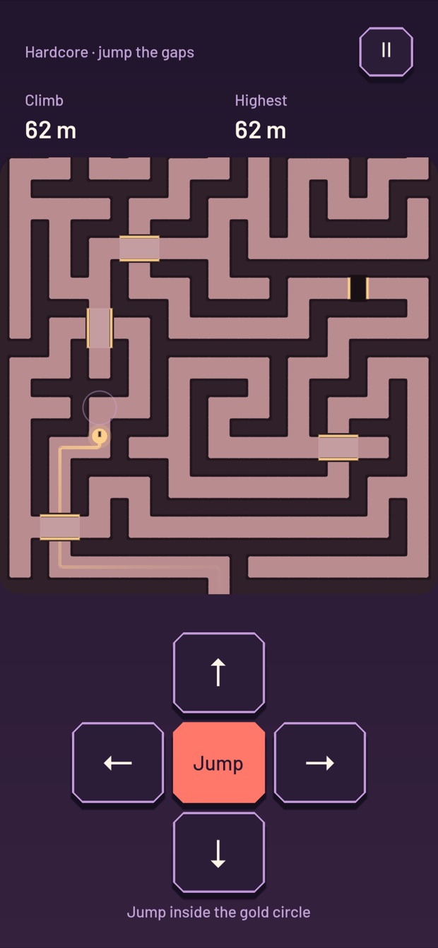 Hardcore maze with gaps in the track and a central jump control